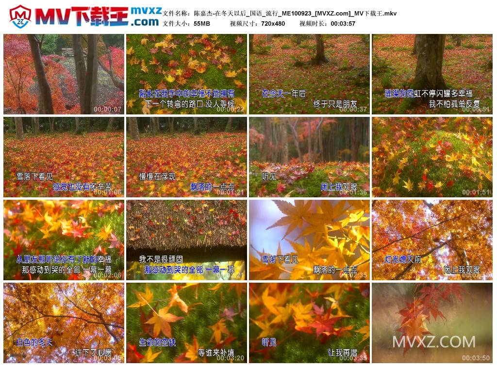 陈嘉杰-在冬天以后_国语_流行_ME100923